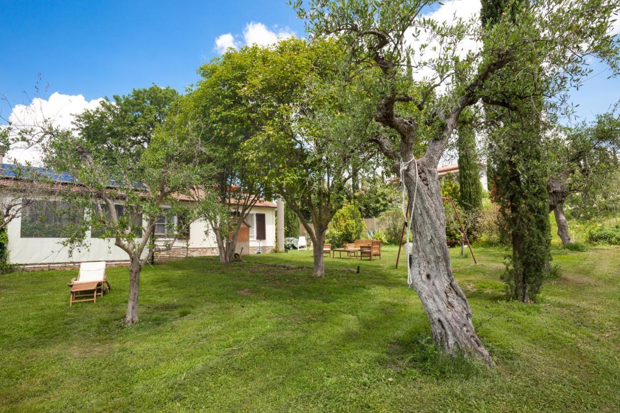 ماليانو إن توسكانا Artemisia Negli Ulivi B&B المظهر الخارجي الصورة