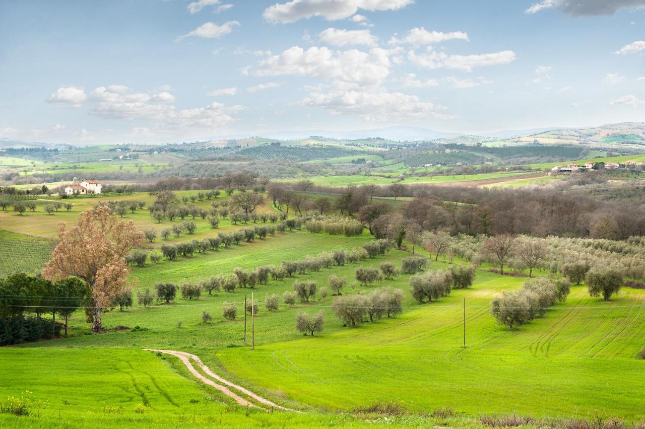 ماليانو إن توسكانا Artemisia Negli Ulivi B&B المظهر الخارجي الصورة