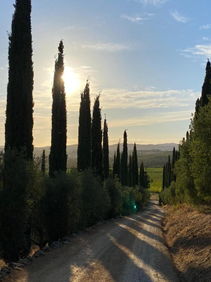 ماليانو إن توسكانا Artemisia Negli Ulivi B&B المظهر الخارجي الصورة
