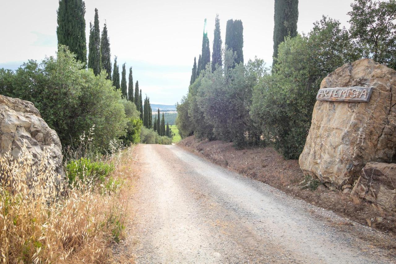 ماليانو إن توسكانا Artemisia Negli Ulivi B&B المظهر الخارجي الصورة